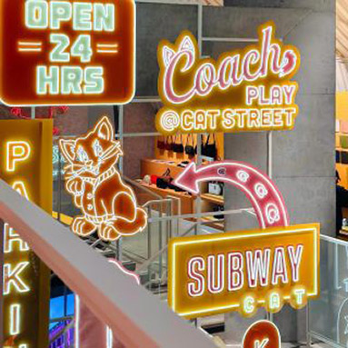 newcoachplay