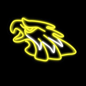 Eagle Basketball Neon Signs 16.5*9.4 Inch