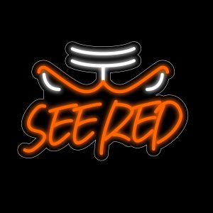 See Red Neon Sign NBA Bulls Slogan Neon Signs 15.75*11 Inch