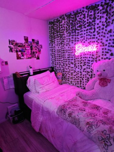 Custom neon lights photo review